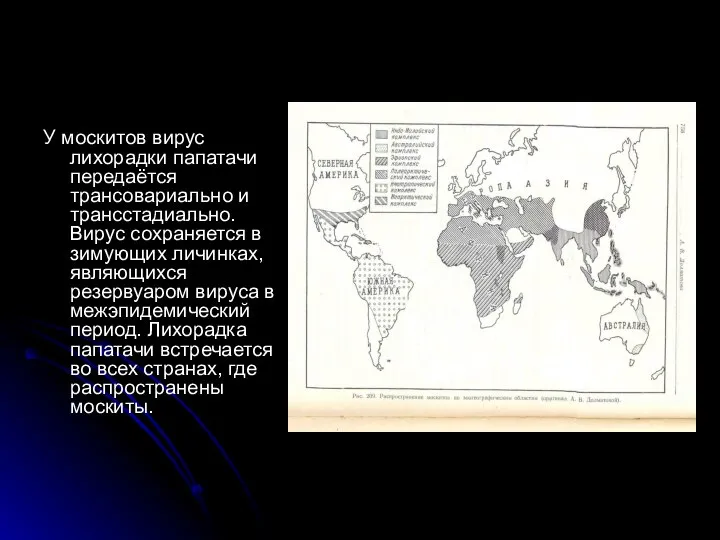 У москитов вирус лихорадки папатачи передаётся трансовариально и трансстадиально. Вирус сохраняется