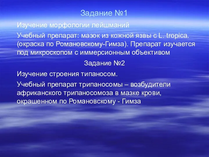 Задание №1 Изучение морфологии лейшманий Учебный препарат: мазок из кожной язвы