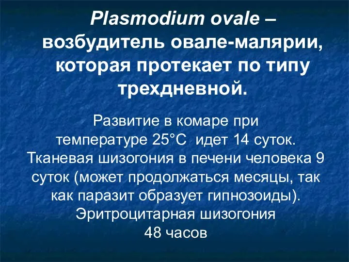 Plasmodium ovale – возбудитель овале-малярии, которая протекает по типу трехдневной. Развитие