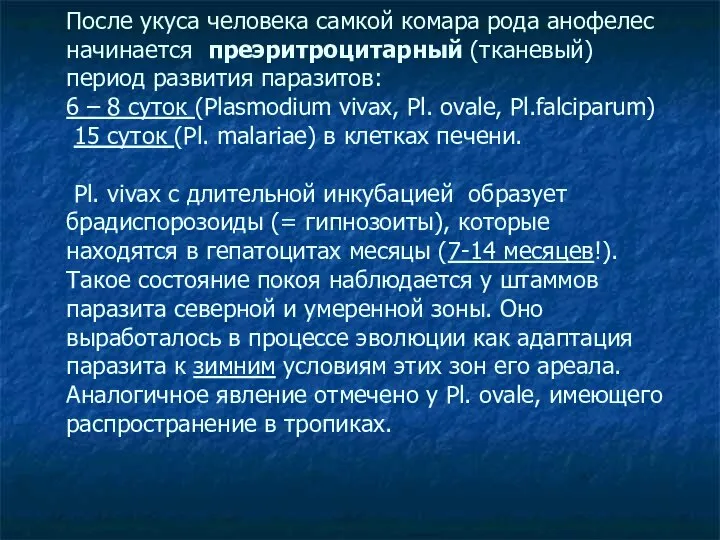 После укуса человека самкой комара рода анофелес начинается преэритроцитарный (тканевый) период