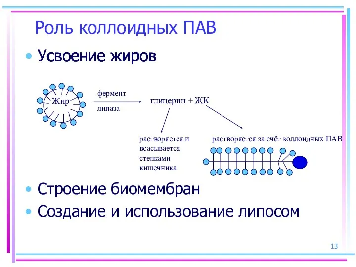 Роль коллоидных ПАВ Усвоение жиров Жир фермент липаза глицерин + ЖК