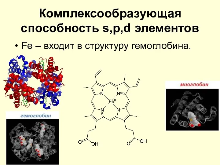 Комплексообразующая способность s,p,d элементов Fe – входит в структуру гемоглобина.