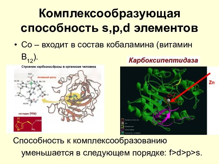 Комплексообразующая способность s,p,d элементов Со – входит в состав кобаламина (витамин