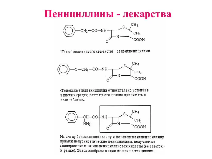 Пенициллины - лекарства