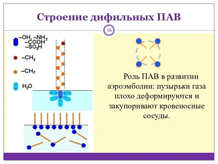 Роль ПАВ в развитии аэроэмболии: пузырьки газа плохо деформируются и закупоривают кровеносные сосуды. Строение дифильных ПАВ