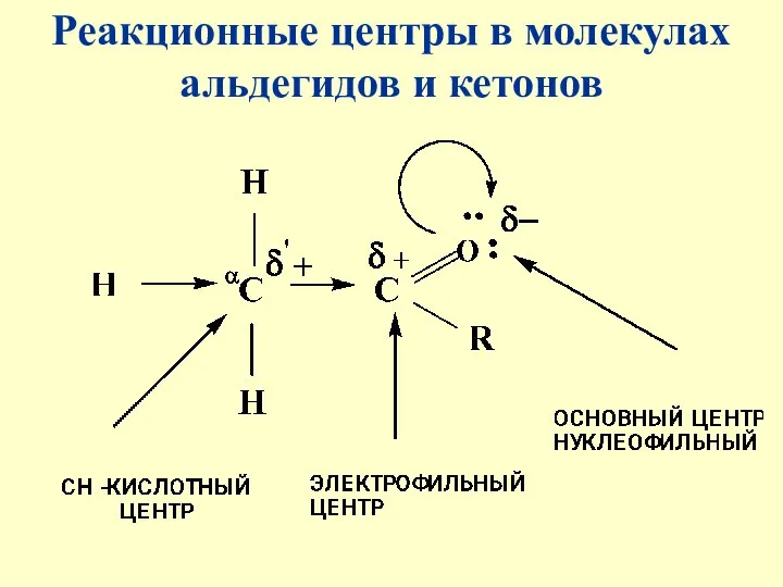 Реакционные центры в молекулах альдегидов и кетонов