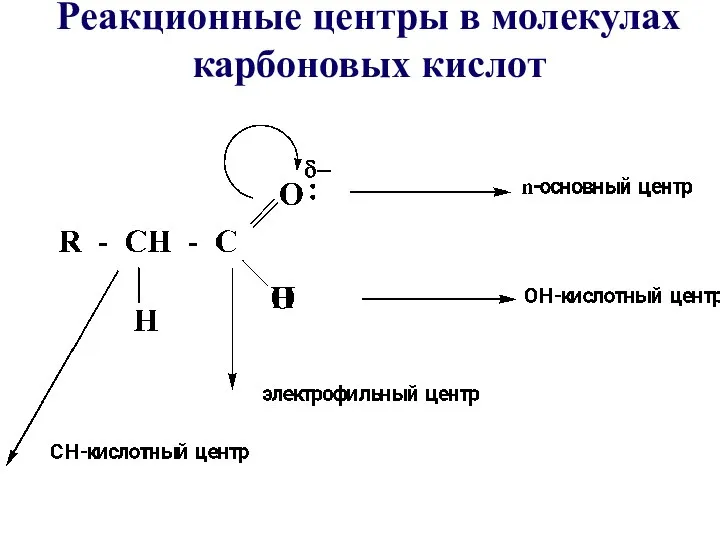 Реакционные центры в молекулах карбоновых кислот