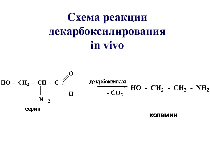 Схема реакции декарбоксилирования in vivo