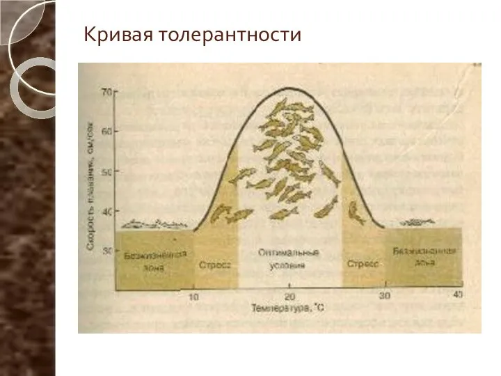 Кривая толерантности