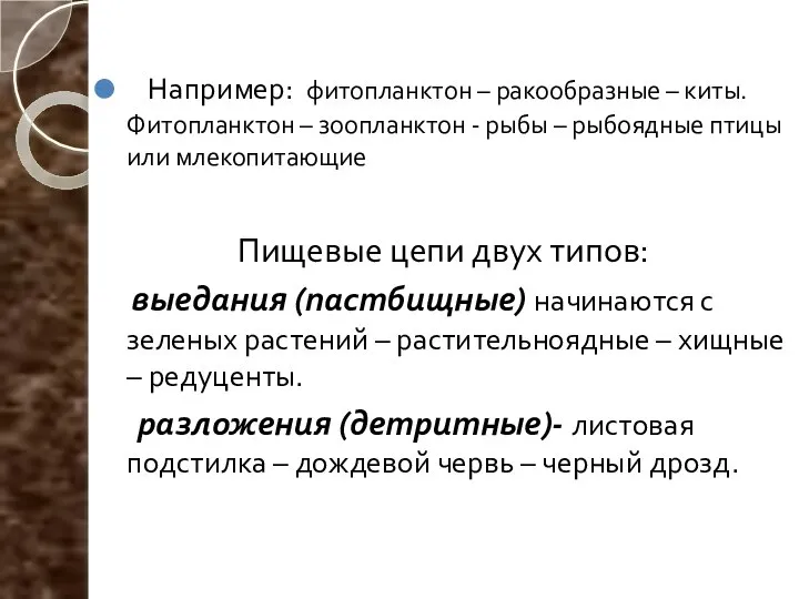 Например: фитопланктон – ракообразные – киты. Фитопланктон – зоопланктон - рыбы