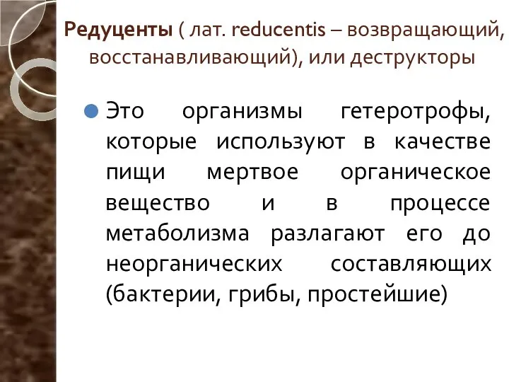 Редуценты ( лат. reducentis – возвращающий, восстанавливающий), или деструкторы Это организмы