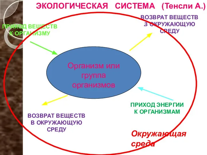 Окружающая среда ПРИХОД ВЕЩЕСТВ К ОРГАНИЗМУ ПРИХОД ЭНЕРГИИ К ОРГАНИЗМАМ ВОЗВРАТ