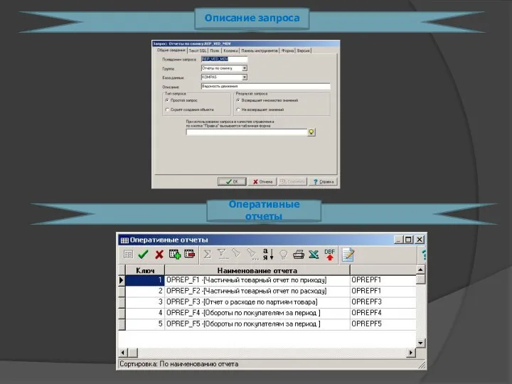Описание запроса Оперативные отчеты