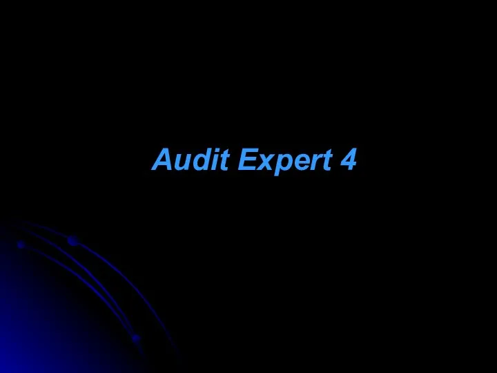 Audit Expert 4