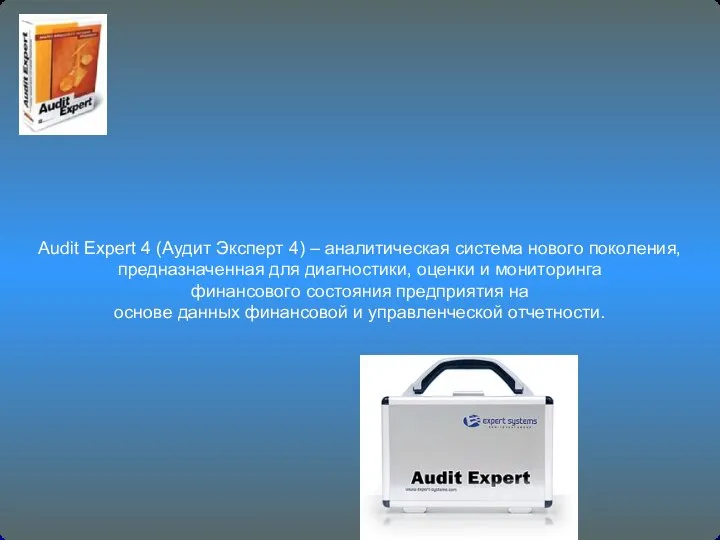 Audit Expert 4 (Аудит Эксперт 4) – аналитическая система нового поколения,