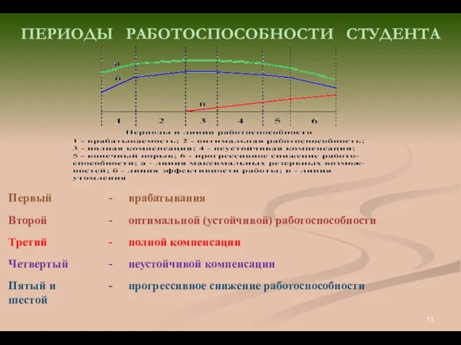 ПЕРИОДЫ РАБОТОСПОСОБНОСТИ СТУДЕНТА