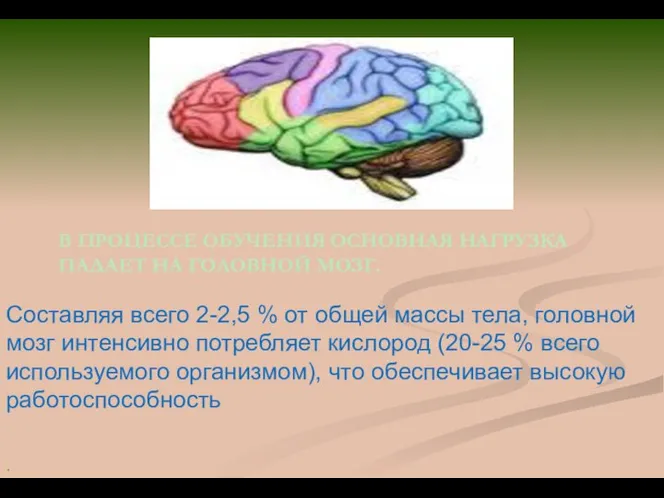 В ПРОЦЕССЕ ОБУЧЕНИЯ ОСНОВНАЯ НАГРУЗКА ПАДАЕТ НА ГОЛОВНОЙ МОЗГ. Составляя всего