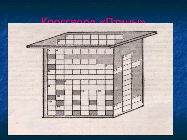 Кроссворд «Птицы»