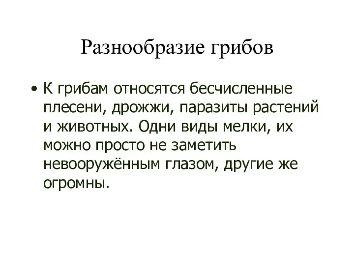 Разнообразие грибов К грибам относятся бесчисленные плесени, дрожжи, паразиты растений и