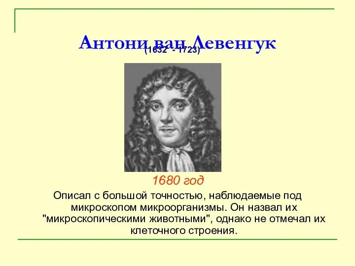 Антони ван Левенгук 1680 год Описал с большой точностью, наблюдаемые под