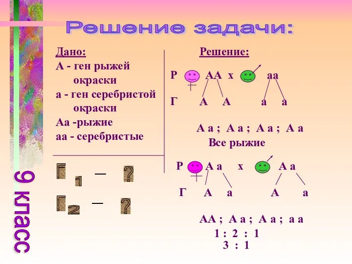 Решение задачи: Дано: А - ген рыжей окраски а - ген