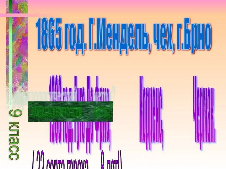 1865 год. Г.Мендель, чех, г.Брно 1900 год. Гуго Де Фриз, Корренс,