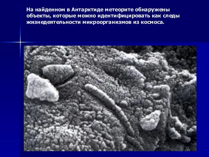 На найденном в Антарктиде метеорите обнаружены объекты, которые можно идентифицировать как следы жизнедеятельности микроорганизмов из космоса.