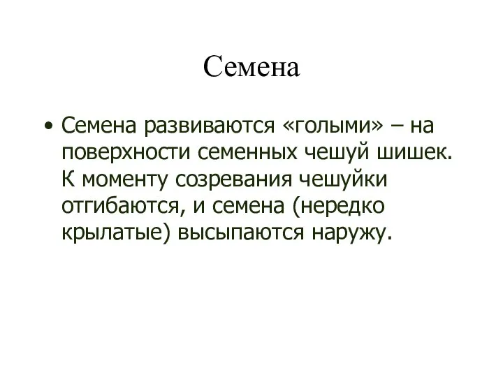 Семена Семена развиваются «голыми» – на поверхности семенных чешуй шишек. К