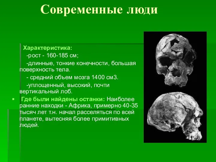 Современные люди Характеристика: -рост - 160-185 см; -длинные, тонкие конечности, большая