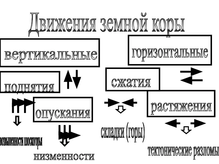 Движения земной коры горизонтальные вертикальные поднятия опускания сжатия растяжения складки (горы) тектонические разломы возвышенности плоскогорья низменности