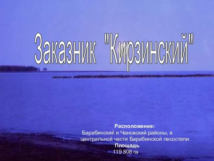 Расположение: Барабинский и Чановский районы, в центральной части Барабинской лесостепи. Площадь 119 808 га Заказник "Кирзинский"