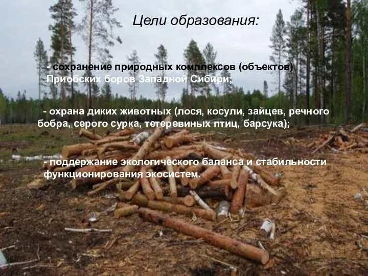 Цели образования: - сохранение природных комплексов (объектов) Приобских боров Западной Сибири;