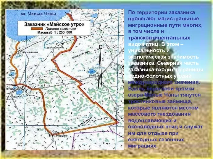 По территории заказника пролегают магистральные миграционные пути многих, в том числе