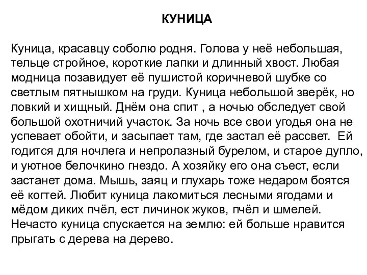 КУНИЦА Куница, красавцу соболю родня. Голова у неё небольшая, тельце стройное,