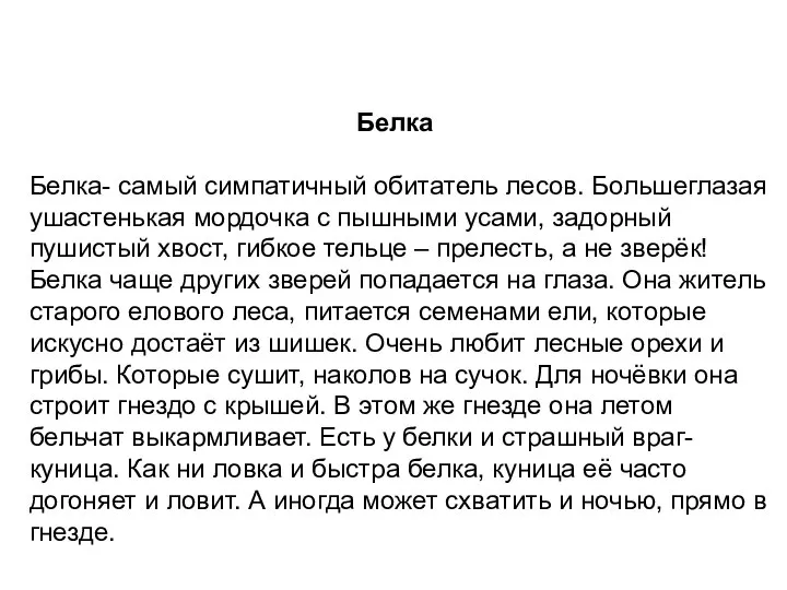 Белка Белка- самый симпатичный обитатель лесов. Большеглазая ушастенькая мордочка с пышными