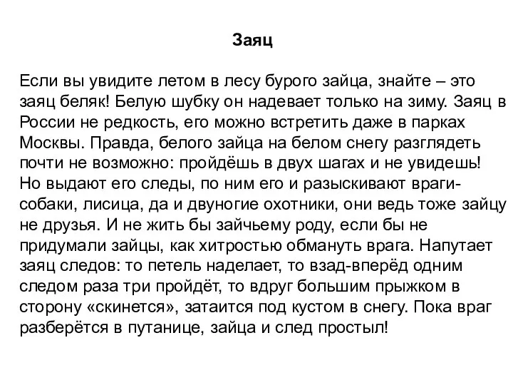 Заяц Если вы увидите летом в лесу бурого зайца, знайте –