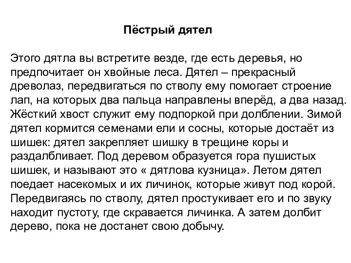 Пёстрый дятел Этого дятла вы встретите везде, где есть деревья, но