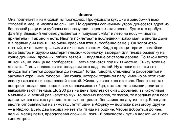 Иволга Она прилетает к нам одной из последних. Прокуковала кукушка и