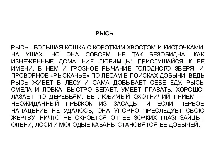 РЫСЬ РЫСЬ - БОЛЬШАЯ КОШКА С КОРОТКИМ ХВОСТОМ И КИСТОЧКАМИ НА