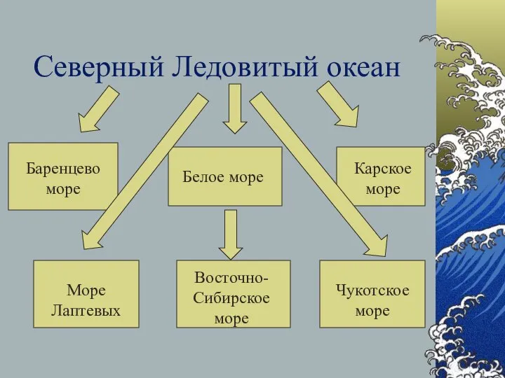 Северный Ледовитый океан Баренцево море Белое море Карское море Море Лаптевых Восточно-Сибирское море Чукотское море