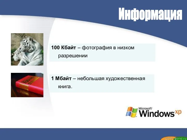 Информация 100 Кбайт – фотография в низком разрешении 1 Мбайт – небольшая художественная книга.