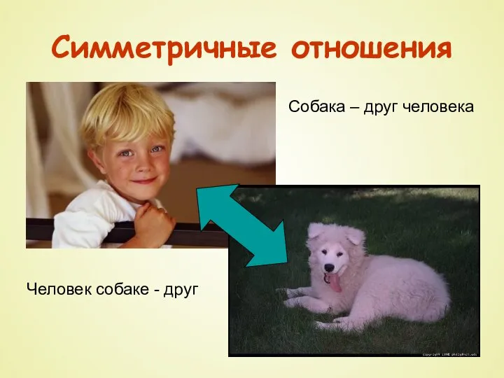 Симметричные отношения Человек собаке - друг Собака – друг человека