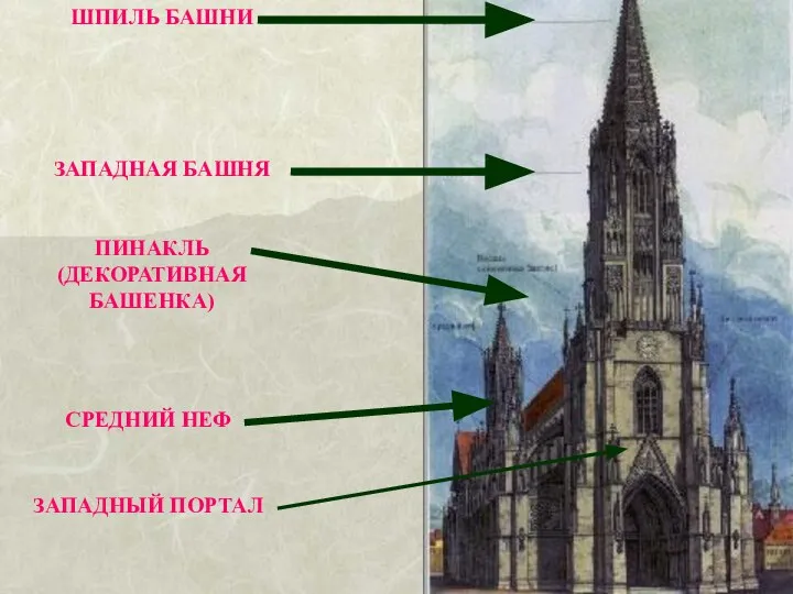 ШПИЛЬ БАШНИ ЗАПАДНАЯ БАШНЯ ПИНАКЛЬ (ДЕКОРАТИВНАЯ БАШЕНКА) СРЕДНИЙ НЕФ ЗАПАДНЫЙ ПОРТАЛ