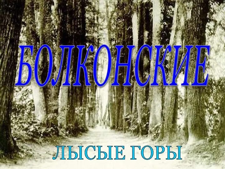 БОЛКОНСКИЕ ЛЫСЫЕ ГОРЫ