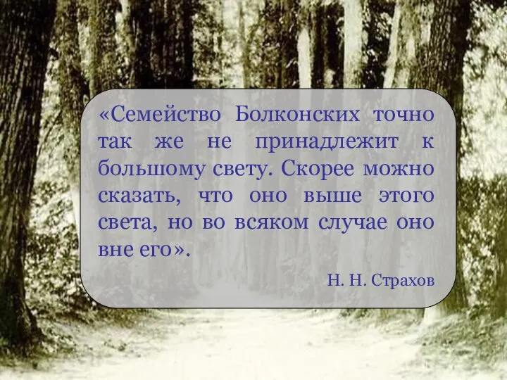 «Семейство Болконских точно так же не принадлежит к большому свету. Скорее