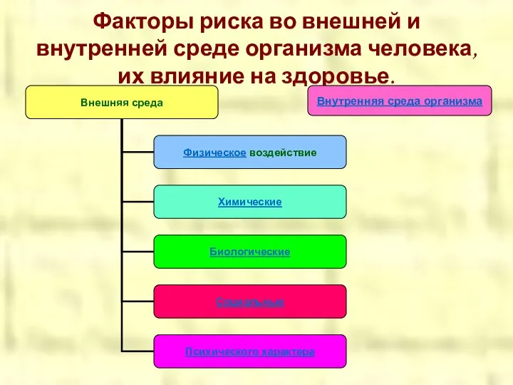 Факторы риска во внешней и внутренней среде организма человека, их влияние на здоровье. Внутренняя среда организма