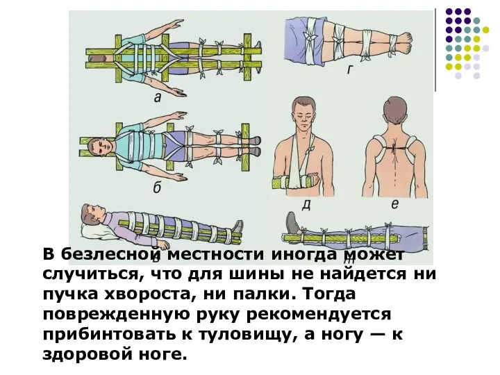 В безлесной местности иногда может случиться, что для шины не найдется