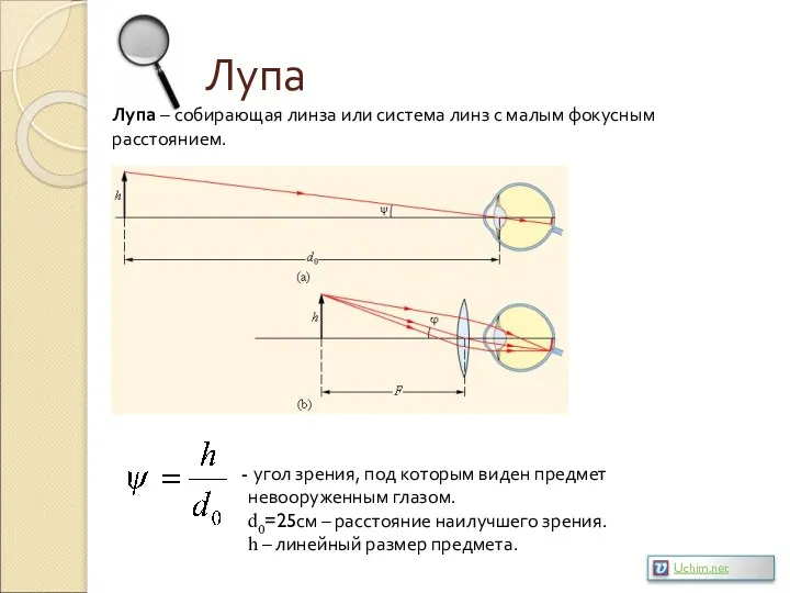 Лупа Лупа – собирающая линза или система линз с малым фокусным