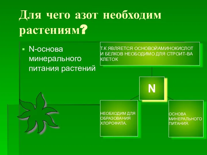 Для чего азот необходим растениям? N-основа минерального питания растений