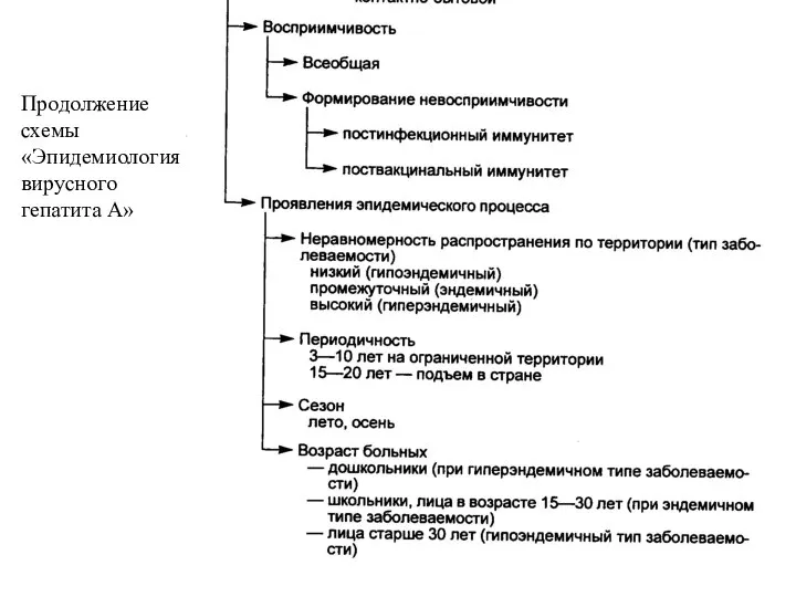 Продолжение схемы «Эпидемиология вирусного гепатита А»